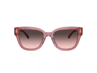 Coach Cl920 Solbriller HC 8379U 580046