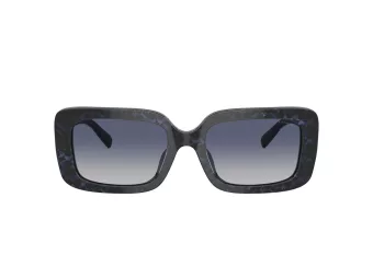 Coach Cl922 Solbriller HC 8380U 57654L