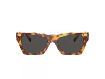 Coach Cl917 Solbriller HC 8389U 575687