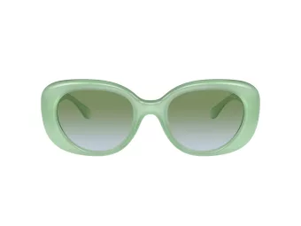 Coach Cr609 Solbriller HC 8391U 5807I7