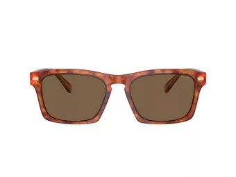Coach Cr628 Solbriller HC 8397U 577473