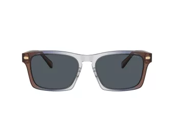 Coach Cr628 Solbriller HC 8397U 581587