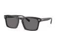 Coach Cr628 Solbriller HC 8397U 581781