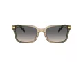 Coach Cr630 Solbriller HC 8398U 5797G9