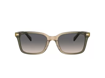 Coach Cr630 Solbriller HC 8398U 5797G9