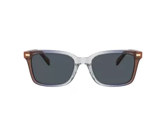 Coach Cr630 Solbriller HC 8398U 581587