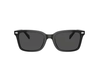 Coach Cr630 Solbriller HC 8398U 581787