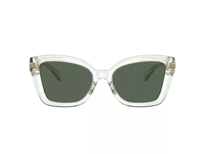 Coach Cs544 Solbriller HC 8405U 583271