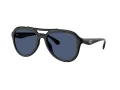 Coach Cw183 Solbriller HC 8406U 500287
