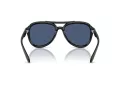 Coach Cw183 Solbriller HC 8406U 500287