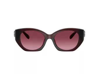 Coach Cw194 Solbriller HC 8407U 53938H