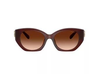 Coach Cw194 Solbriller HC 8407U 584174