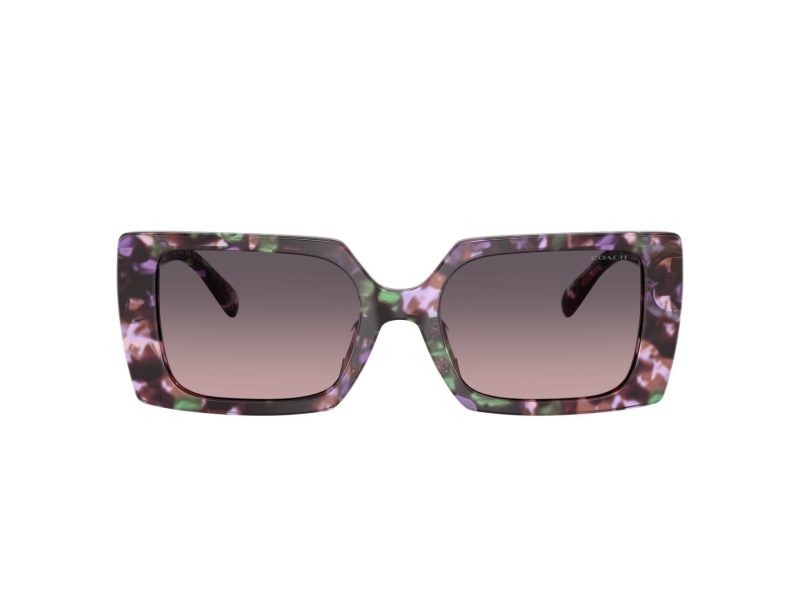 Coach Cw224 Solbriller HC 8409U 584346