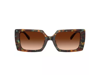 Coach Cw224 Solbriller HC 8409U 584474