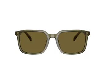 Coach Cw405 Solbriller HC 8411U 5848S7