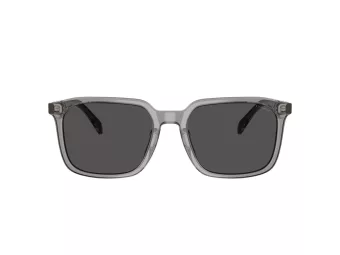 Coach Cw405 Solbriller HC 8411U 584987