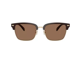 Coach Cw406 Solbriller HC 8412 554273