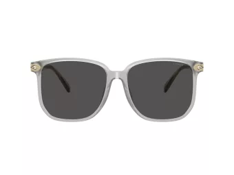 Coach Cw419 Solbriller HC 8413BD 561487