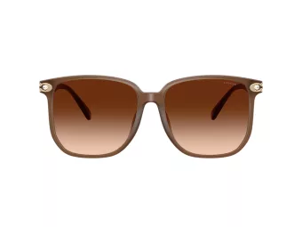 Coach Cw419 Solbriller HC 8413BD 580874