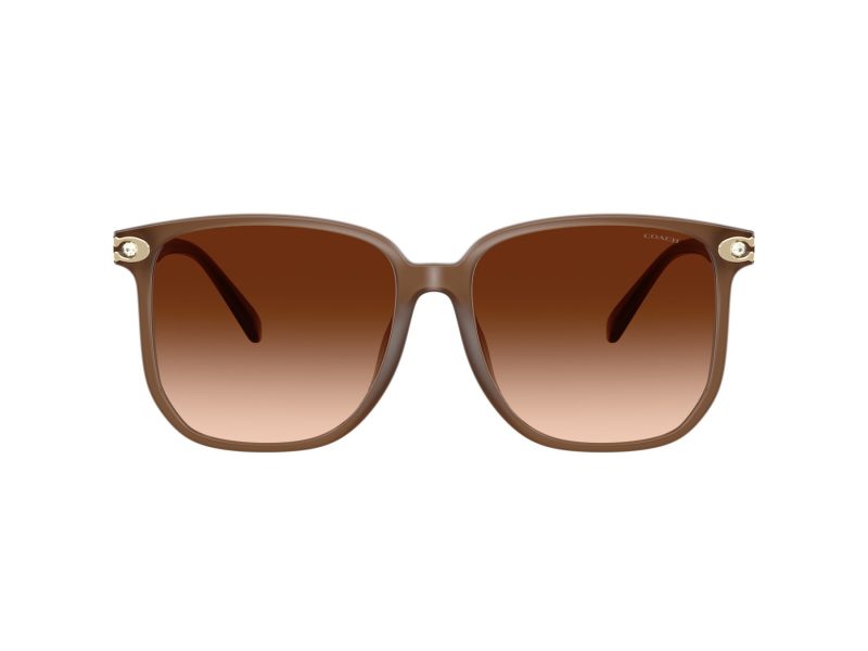 Coach Cw419 Solbriller HC 8413BD 580874
