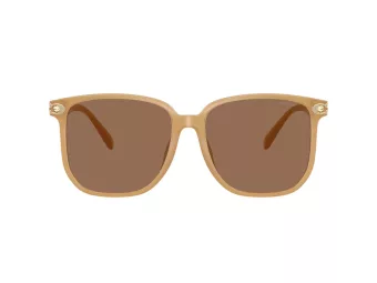 Coach Cw419 Solbriller HC 8413BD 585473