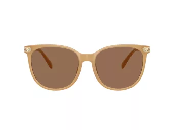 Coach Cw428 Solbriller HC 8414BD 585473