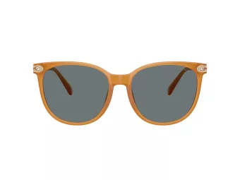 Coach Cw428 Solbriller HC 8414BD 585580