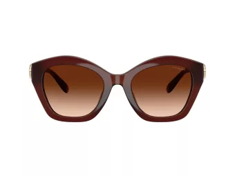 Coach Cad31 Solbriller HC 8421U 584174