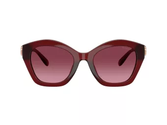 Coach Cad31 Solbriller HC 8421U 58708H