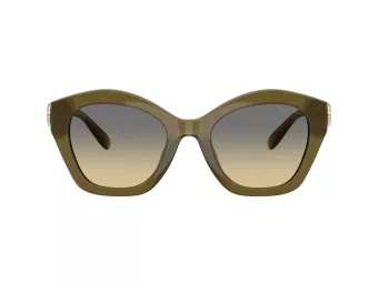 Coach Cad31 Solbriller HC 8421U 5872L0