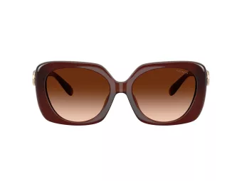 Coach Cad33 Solbriller HC 8422U 584174