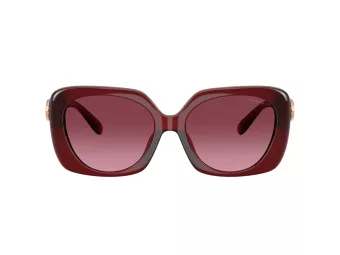 Coach Cad33 Solbriller HC 8422U 58708H