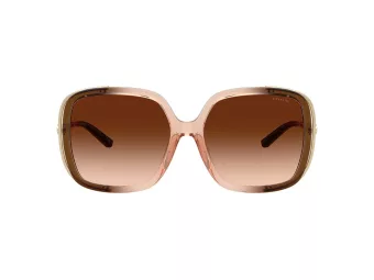 Coach Cad80 Solbriller HC 8423U 576974