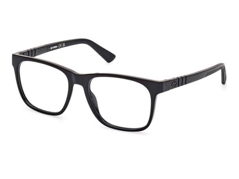 Harley-Davidson Briller HD 00012 001