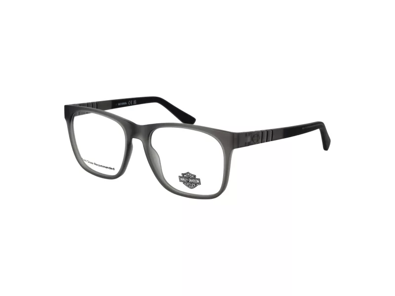 Harley-Davidson Briller HD 00012 020