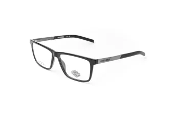 Harley-Davidson Briller HD 00013 001