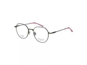 Ana Hickmann Briller HI 1243T 12A
