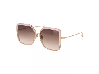 Ana Hickmann Solbriller HI 3196 T02