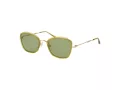 Ana Hickmann Solbriller HI 3219 T01