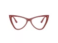 Jimmy Choo Briller JC 3004B 5013