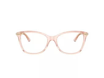 Jimmy Choo Briller JC 3007HB 5034