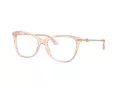 Jimmy Choo Briller JC 3007HB 5034