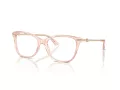 Jimmy Choo Briller JC 3007HB 5034