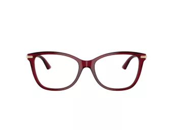 Jimmy Choo Briller JC 3007HB 5062