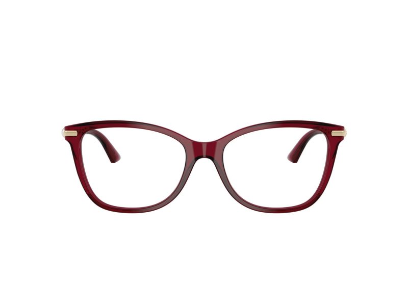 Jimmy Choo Briller JC 3007HB 5062