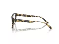 Jimmy Choo Briller JC 3008 5004