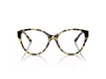 Jimmy Choo Briller JC 3009 5004