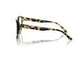 Jimmy Choo Briller JC 3009 5004
