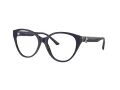 Jimmy Choo Briller JC 3009 5016