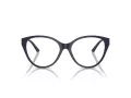 Jimmy Choo Briller JC 3009 5016